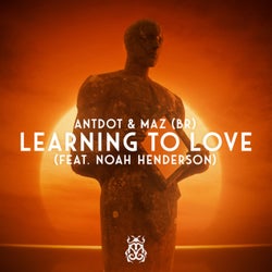 Learning To Love (Extended Mix)