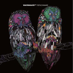 Watergate 09 - mixed by Tiefschwarz