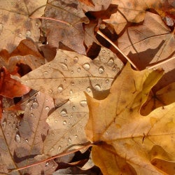 Autumnal List