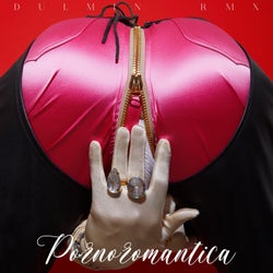 Pornoromantica