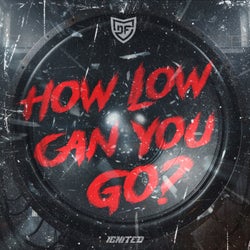 How Low Can You Go - Extended Mix