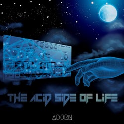 The Acid Side Of Life