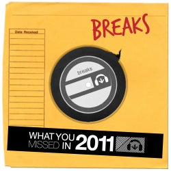 What You Missed 2011 - Breaks