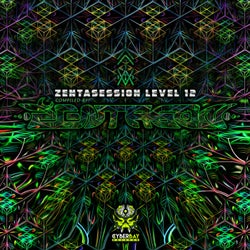 Zentasession Level 12