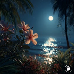 Night Bloom