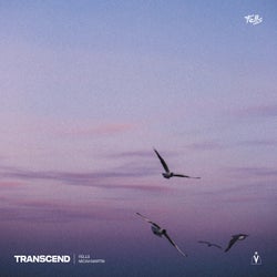 Transcend (feat. Micah Martin)