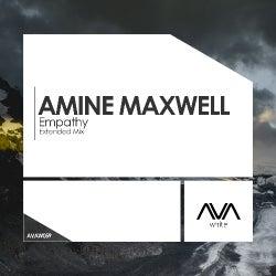 Amine Maxwell's "Empathy" Chart