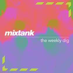 THE WEEKLY DIG 28/10/2022