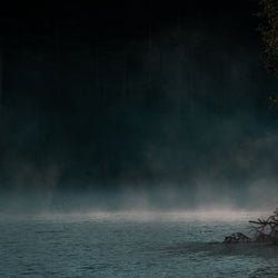 The Stillness (Slowed)
