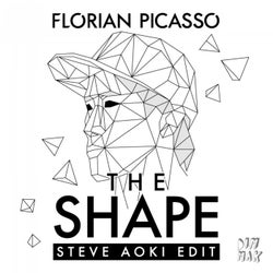 The Shape (Steve Aoki Edit)