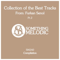 Collection of the Best Tracks From: Furkan Senol, Pt. 2