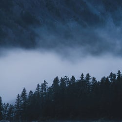 Vapour