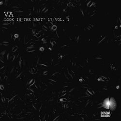 Look In The Past' 17, Vol. 1