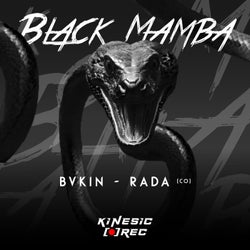 BLACK MAMBA