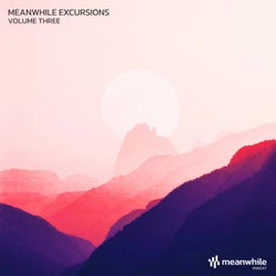 Meanwhile Excursions, Vol. 3