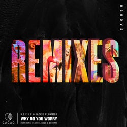 Why Do You Worry Remixes