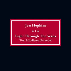 Light Through The Veins (Tom Middleton Remodel)