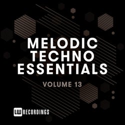 Melodic Techno Essentials, Vol. 13