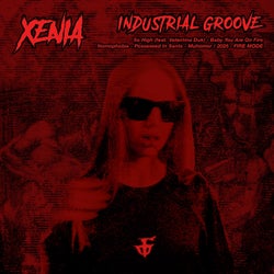 Industrial Groove