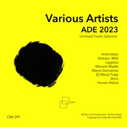 ADE 2023, Unmixed Tracks Selection