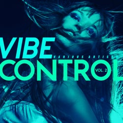 Vibe Control, Vol. 2