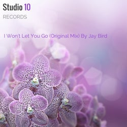 I Won't Let You Go (Spring Breeze Mix)