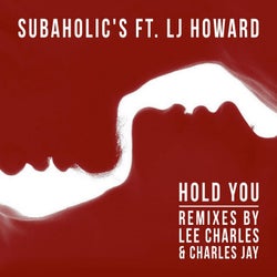 Hold You (Remix EP)