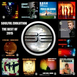 Soulful Evolution The Best Of 2015