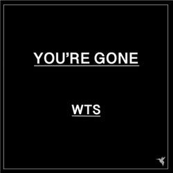 You're Gone (Mixes)