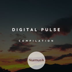 Digital Pulse