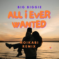 All I Ever Wanted (Moikabi Remix)