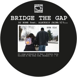 Bridge The Gap