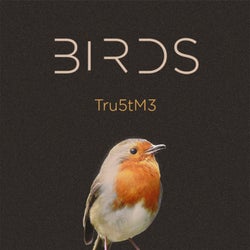 Birds EP