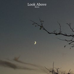 Look Above