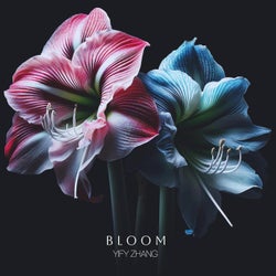 Bloom