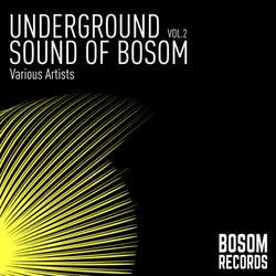 Underground Sound Of Bosom, Vol. 2