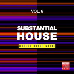 Substantial House, Vol. 6 (Modern House Guide)