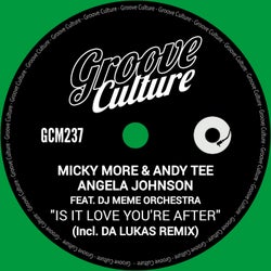 Is It Love You're After (Incl. Da Lukas Remix)