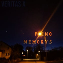 F-ing Memorys