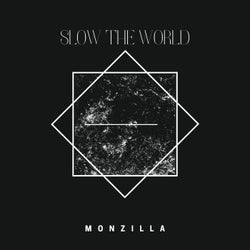 Slow the World