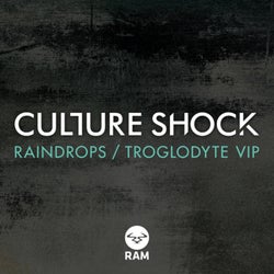 Raindrops / Troglodyte VIP