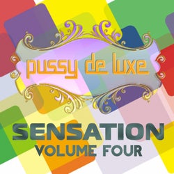 Pussy de Luxe Sensation, Vol. 4 (Best Selection of House Tracks)