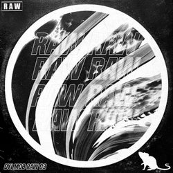 RAW 03