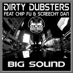 Big Sound (feat. Chip Fu & Screechy Dan)