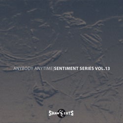 Sentiment Series Vol.13