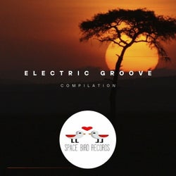 Electric Groove