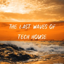 The Last Waves of Tech House