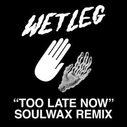 Too Late Now - Soulwax Remix