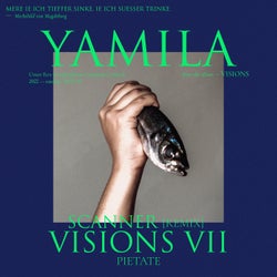 Visions VII