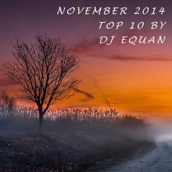 NOVEMBER 2014 - TOP 10 - DJ EQUAN